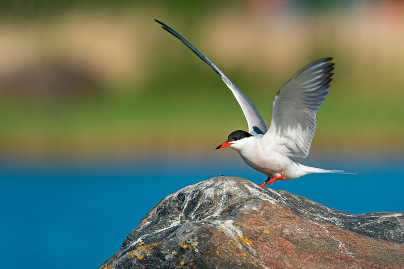 Raahe Archipelago